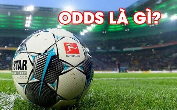 Ty Le Odds (1)
