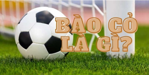 Bao Co La Gi