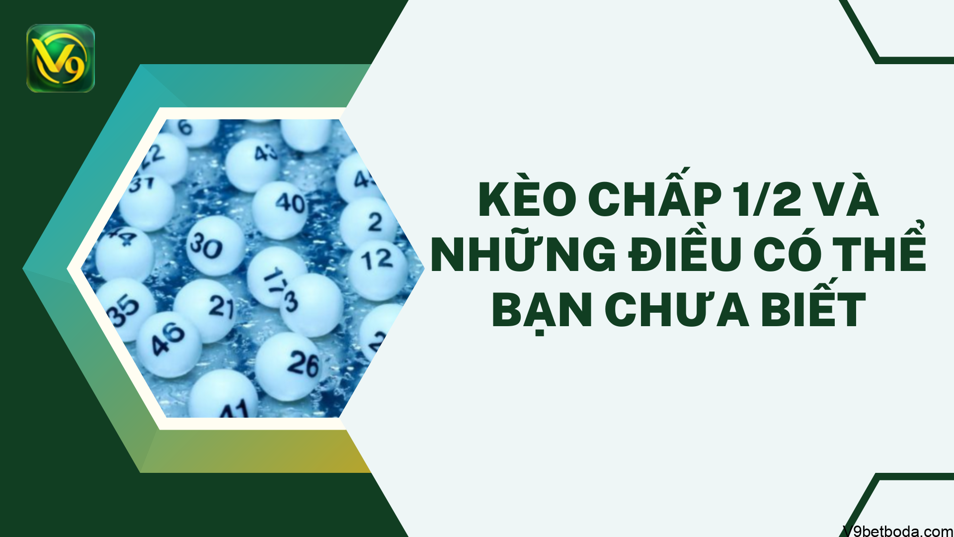 Kèo Chấp 1/2 Và Những Điều Có Thể Bạn Chưa Biết