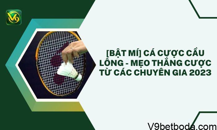 Cá Cược Cầu Lông