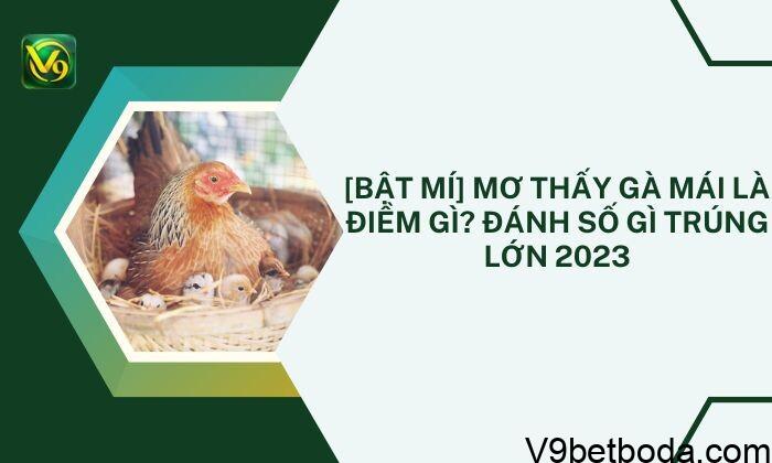 Mơ Thấy Gà Mái