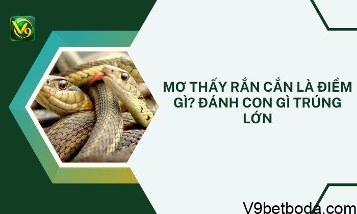 Mơ Thấy Rắn Cắn